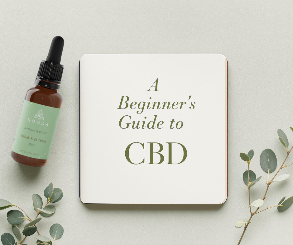 A Beginners Guide